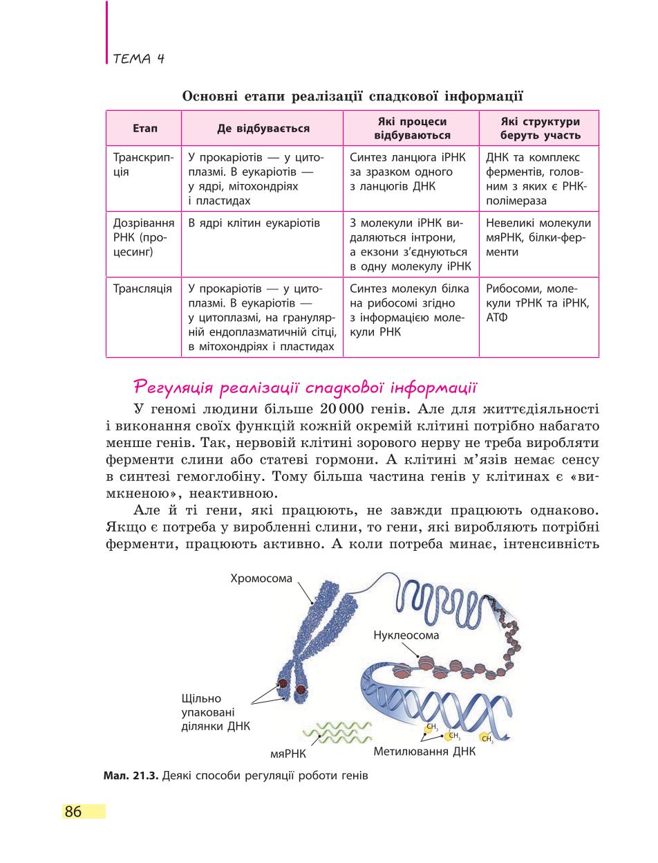 Мініатюра 86