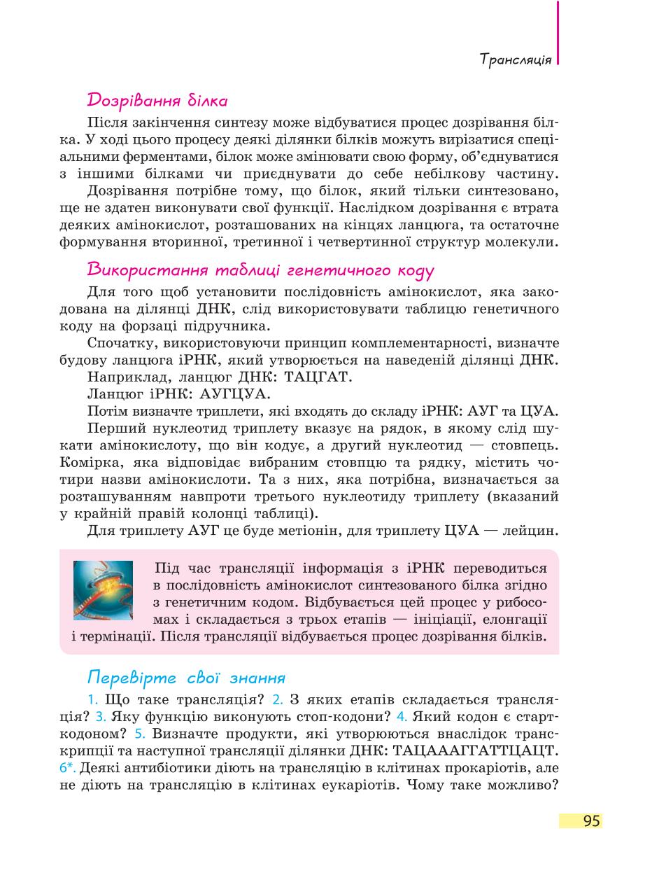 Мініатюра 95