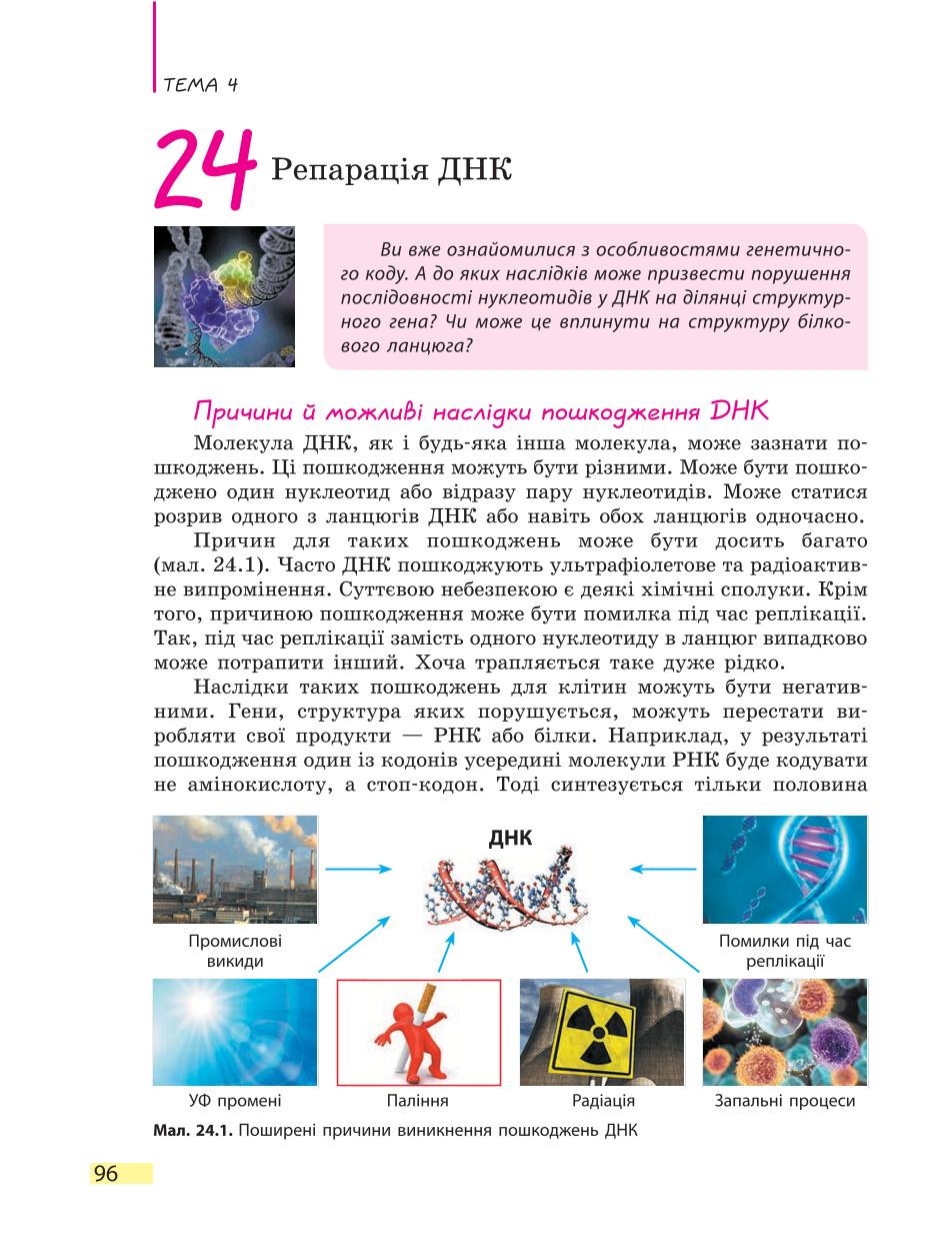 Мініатюра 96