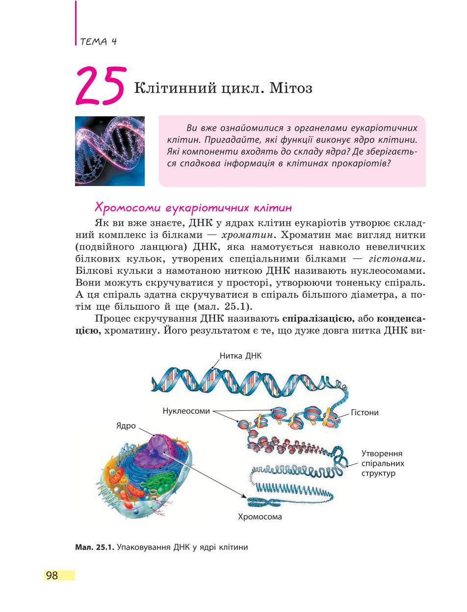 Мініатюра 98