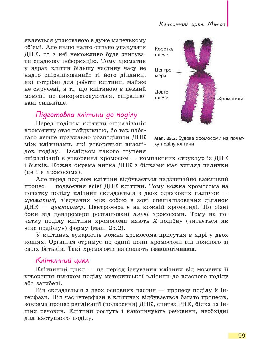Мініатюра 99