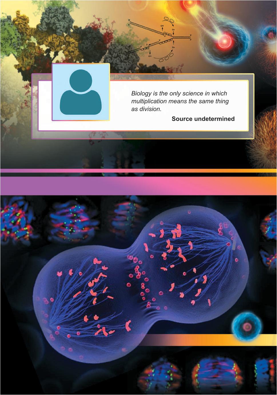 Мініатюра 112