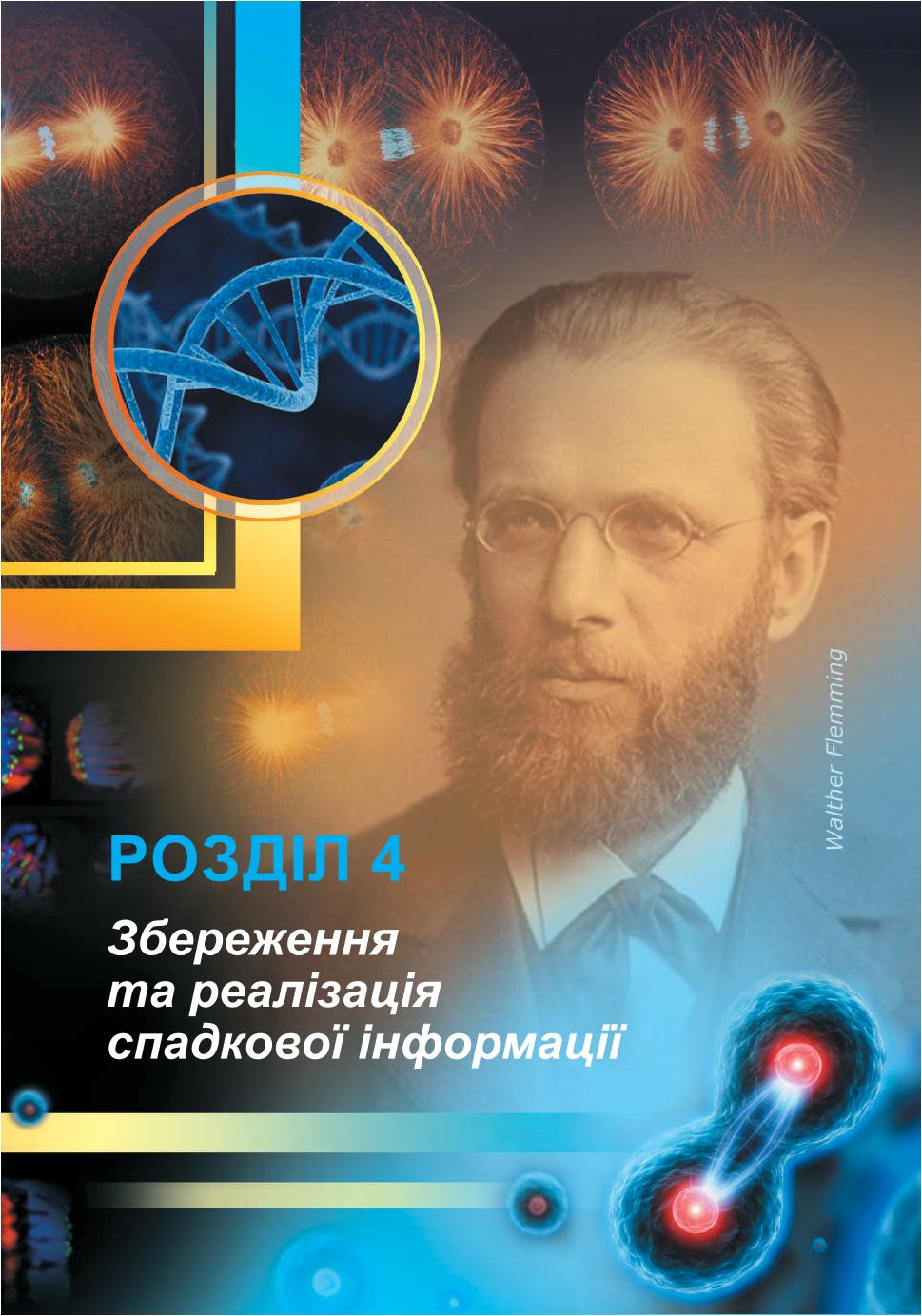 Мініатюра 113