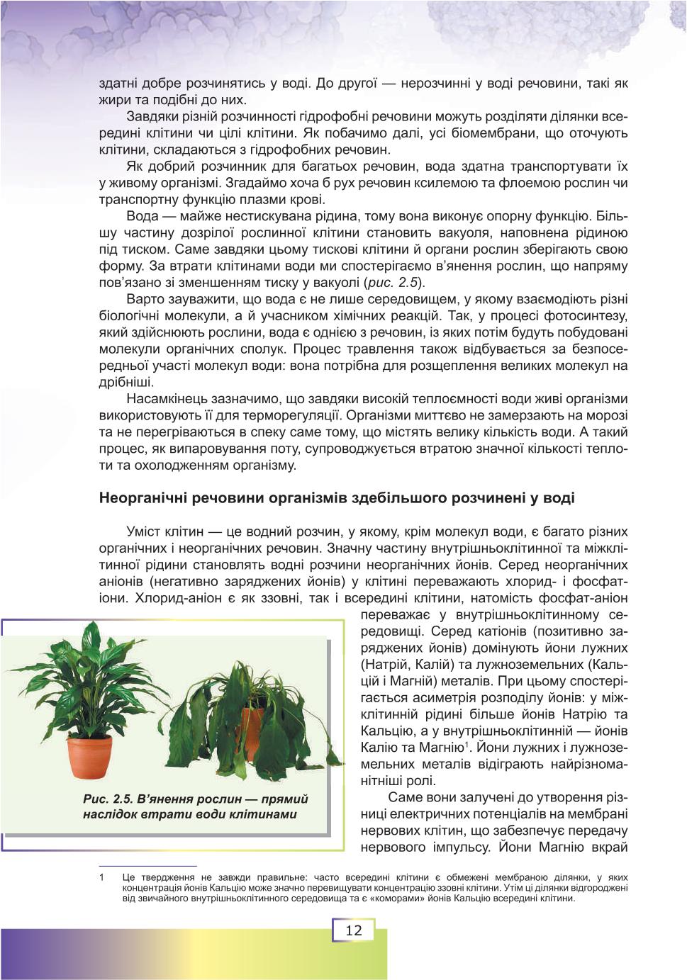 Мініатюра 12