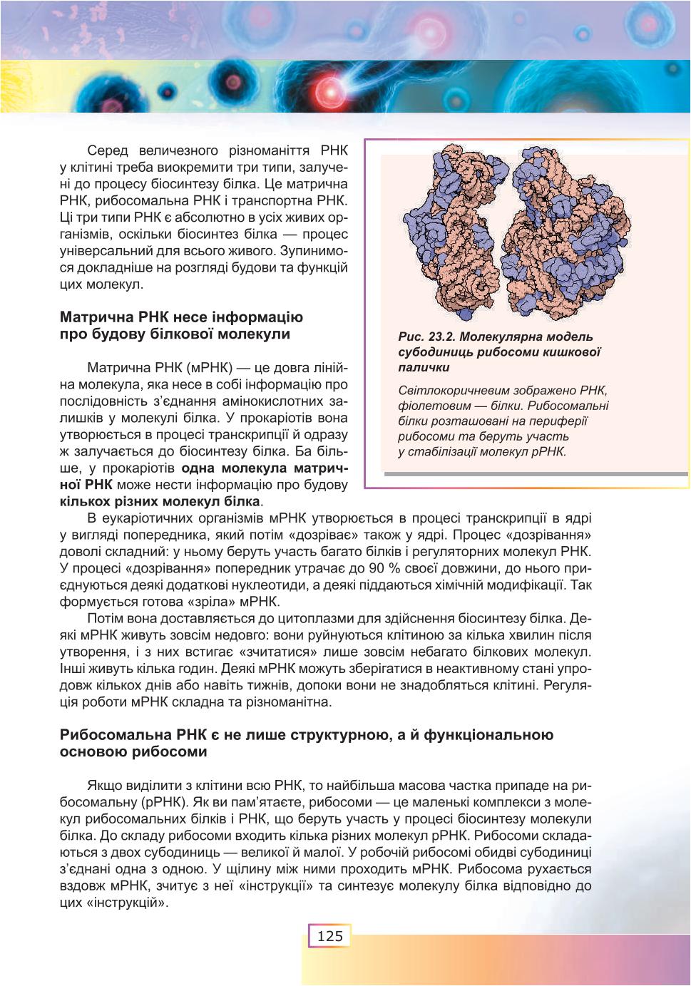 Мініатюра 125