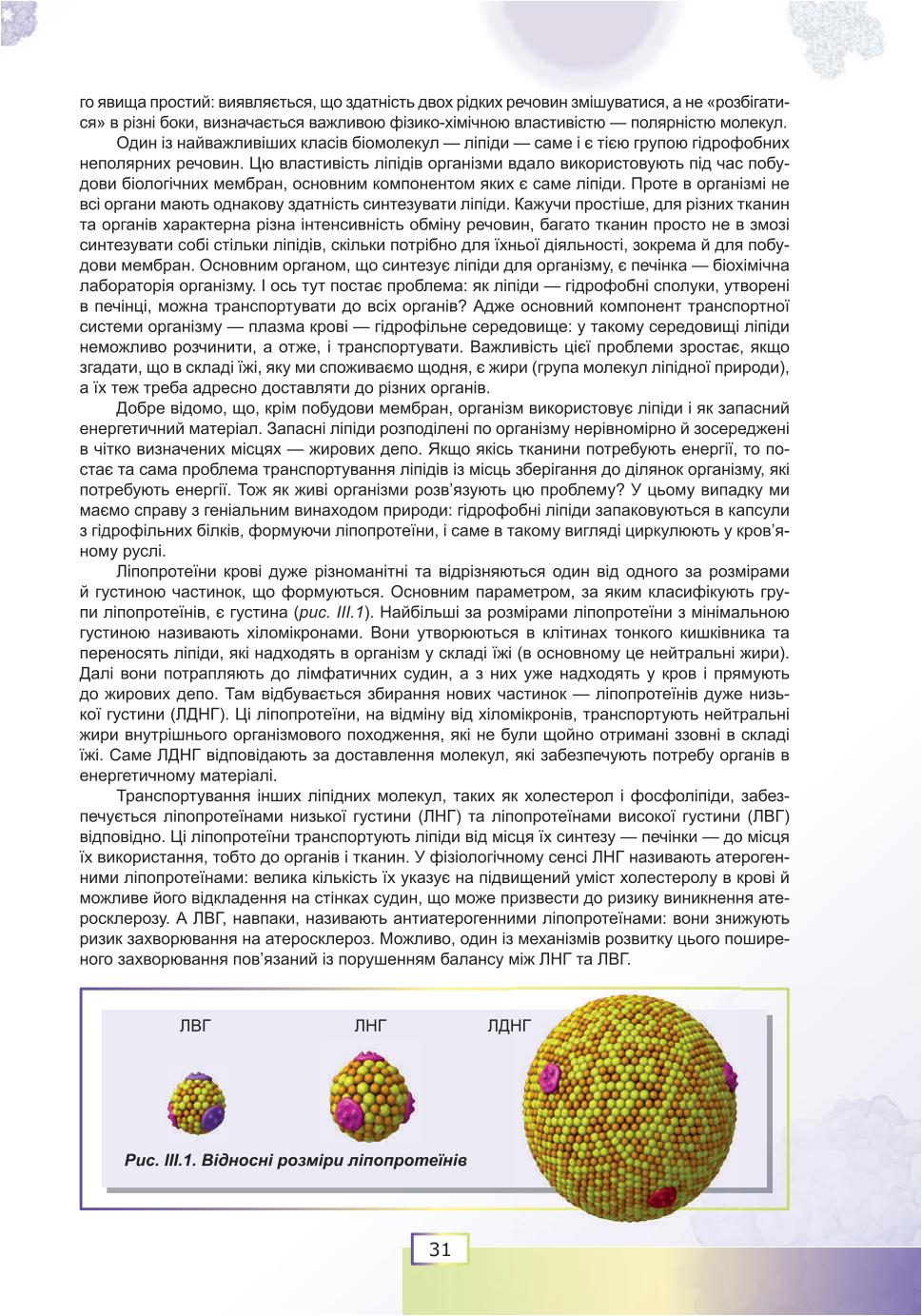 Мініатюра 31