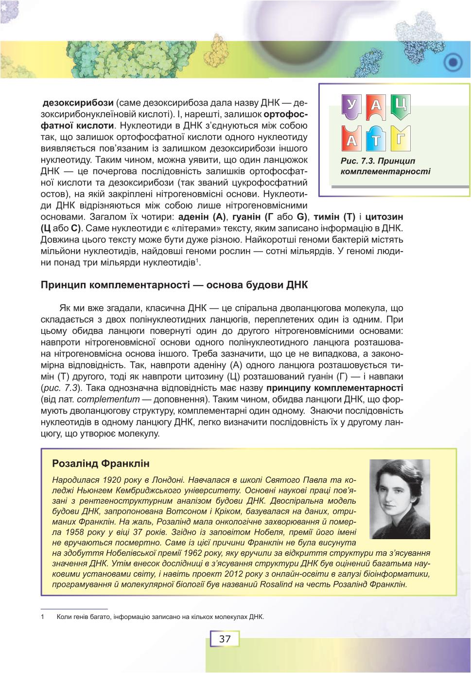 Мініатюра 37