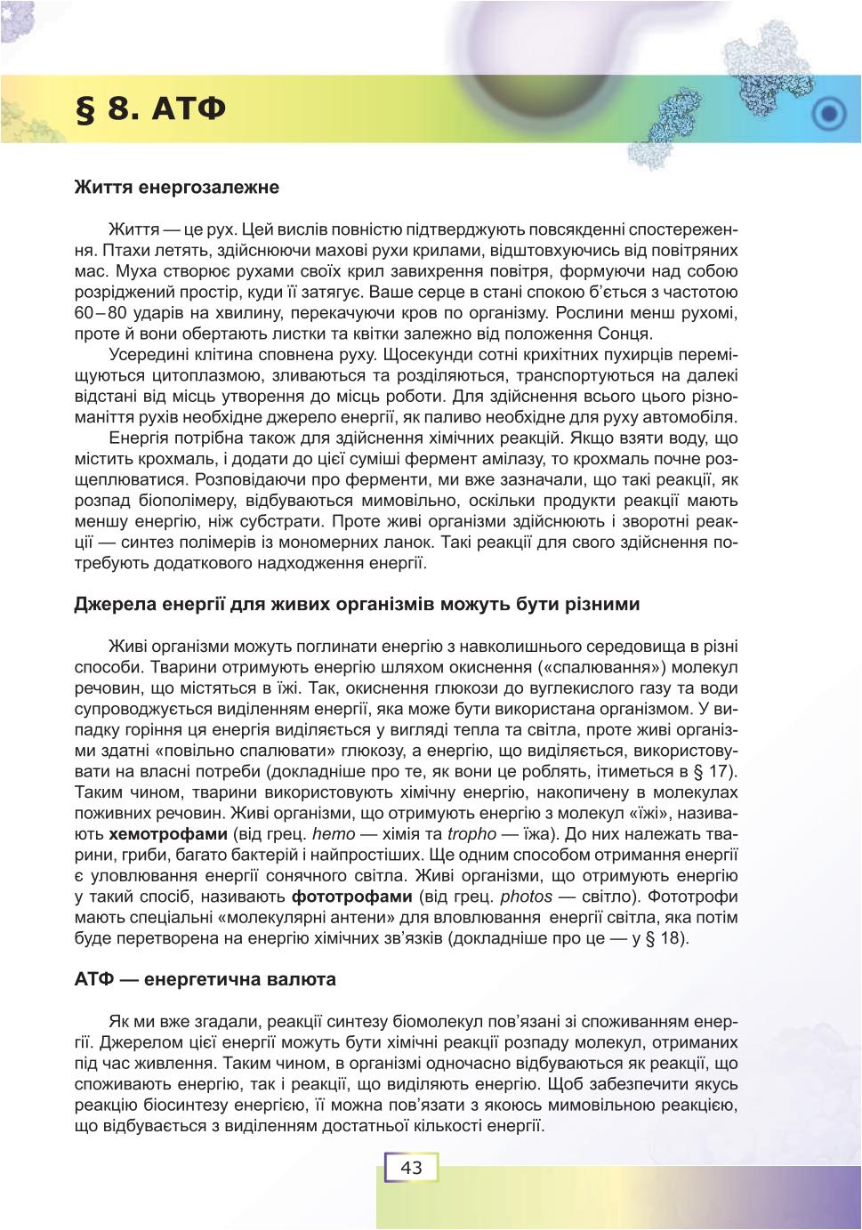 Мініатюра 43