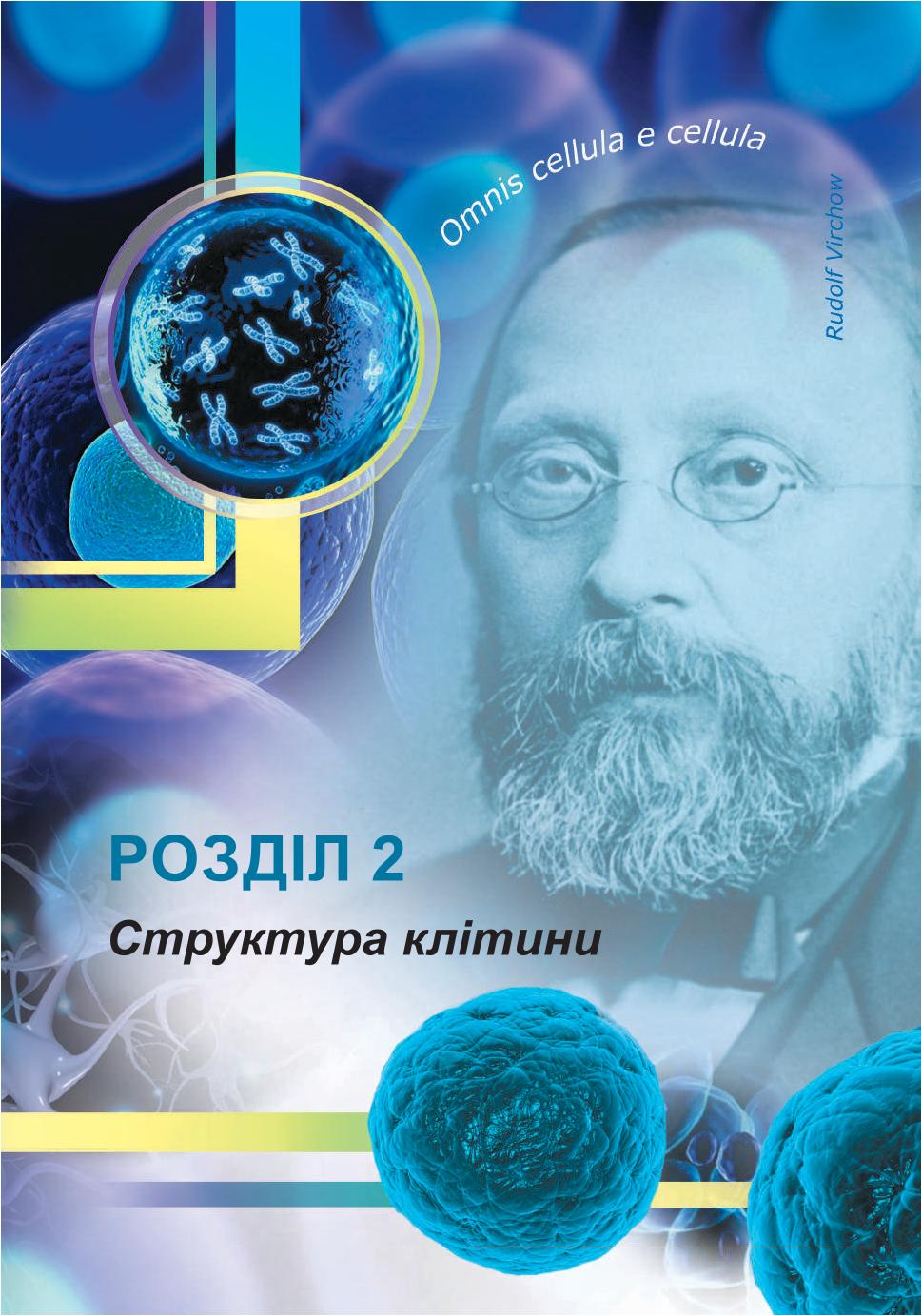 Мініатюра 49
