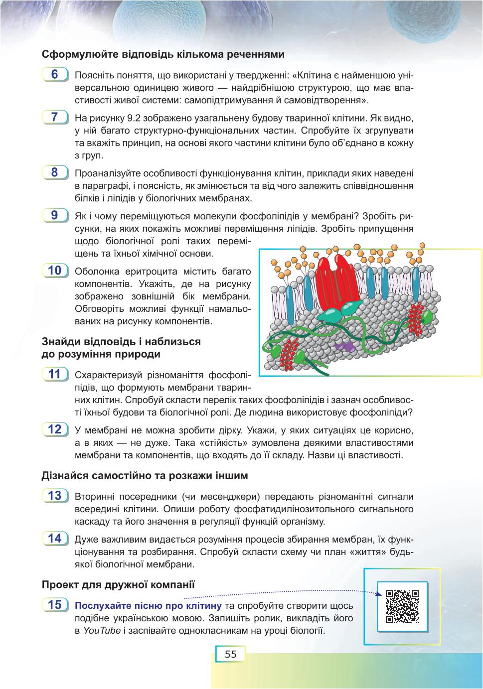 Мініатюра 55
