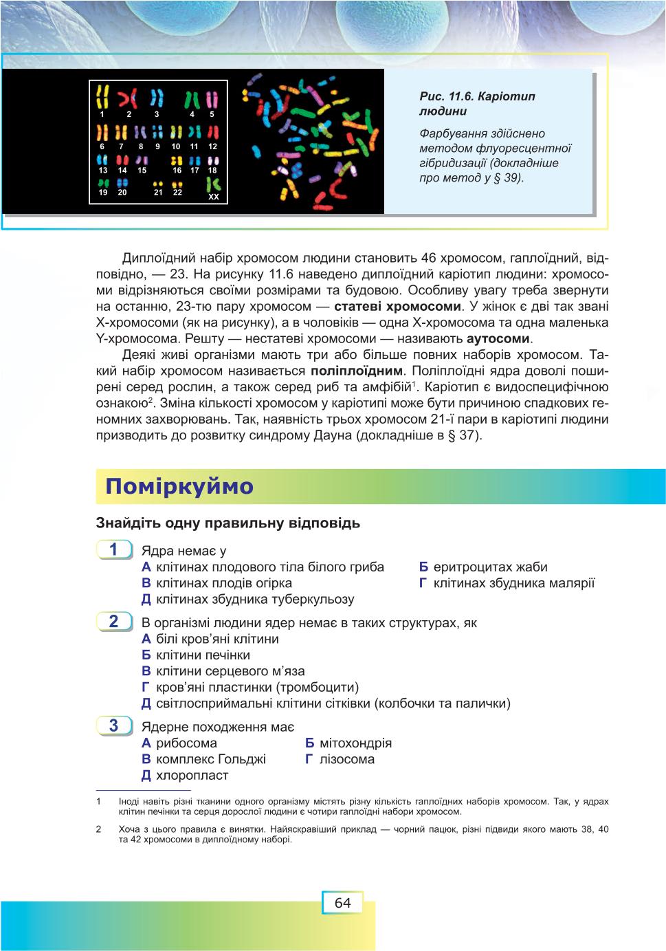 Мініатюра 64