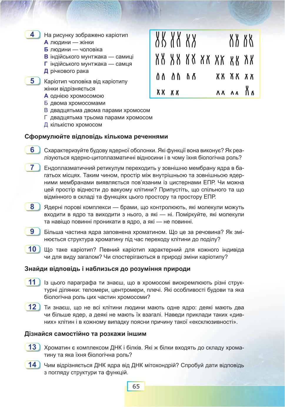 Мініатюра 65