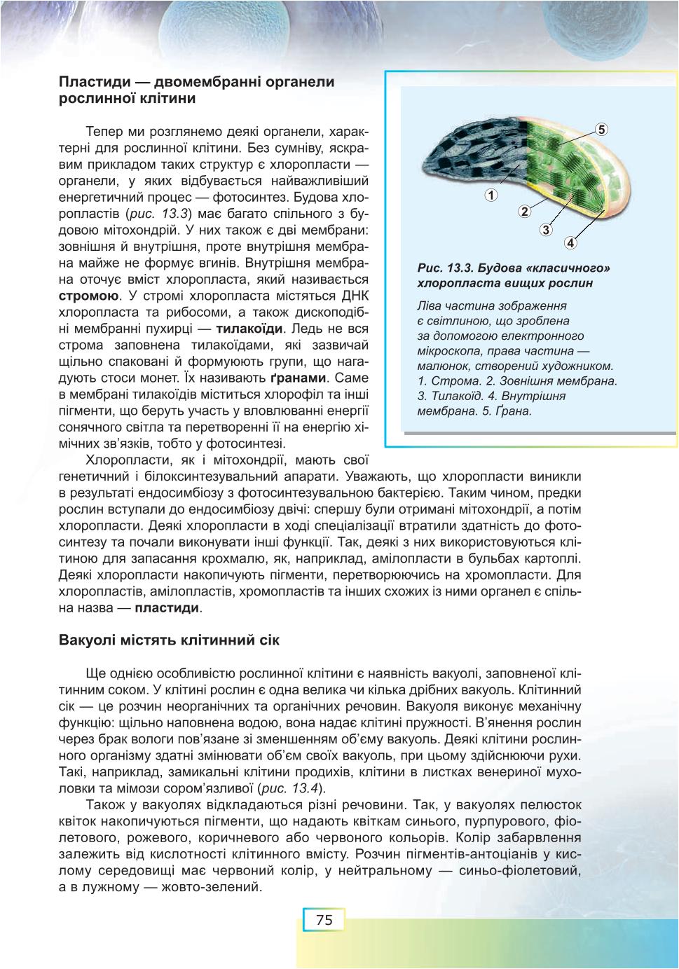 Мініатюра 75