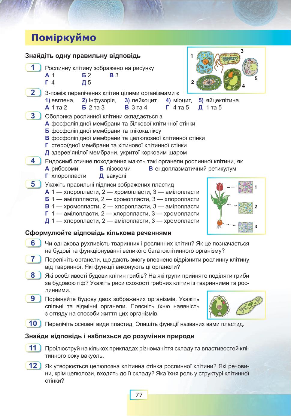 Мініатюра 77