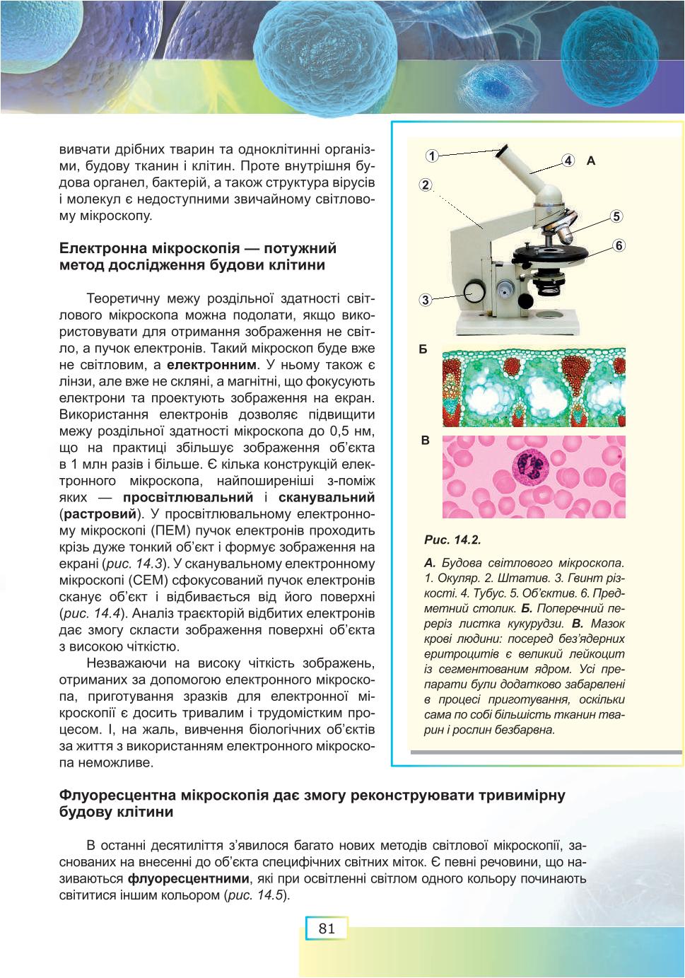 Мініатюра 81