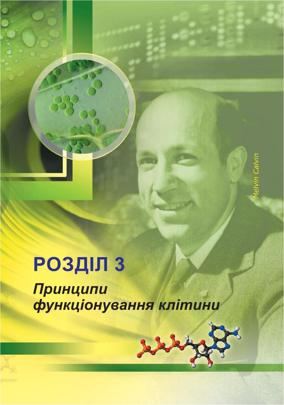 Мініатюра 85