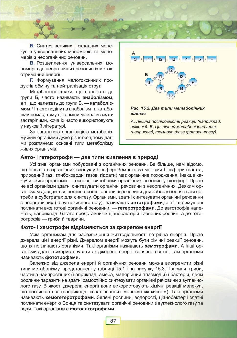 Мініатюра 87
