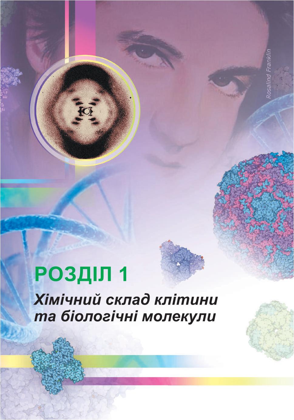 Мініатюра 9