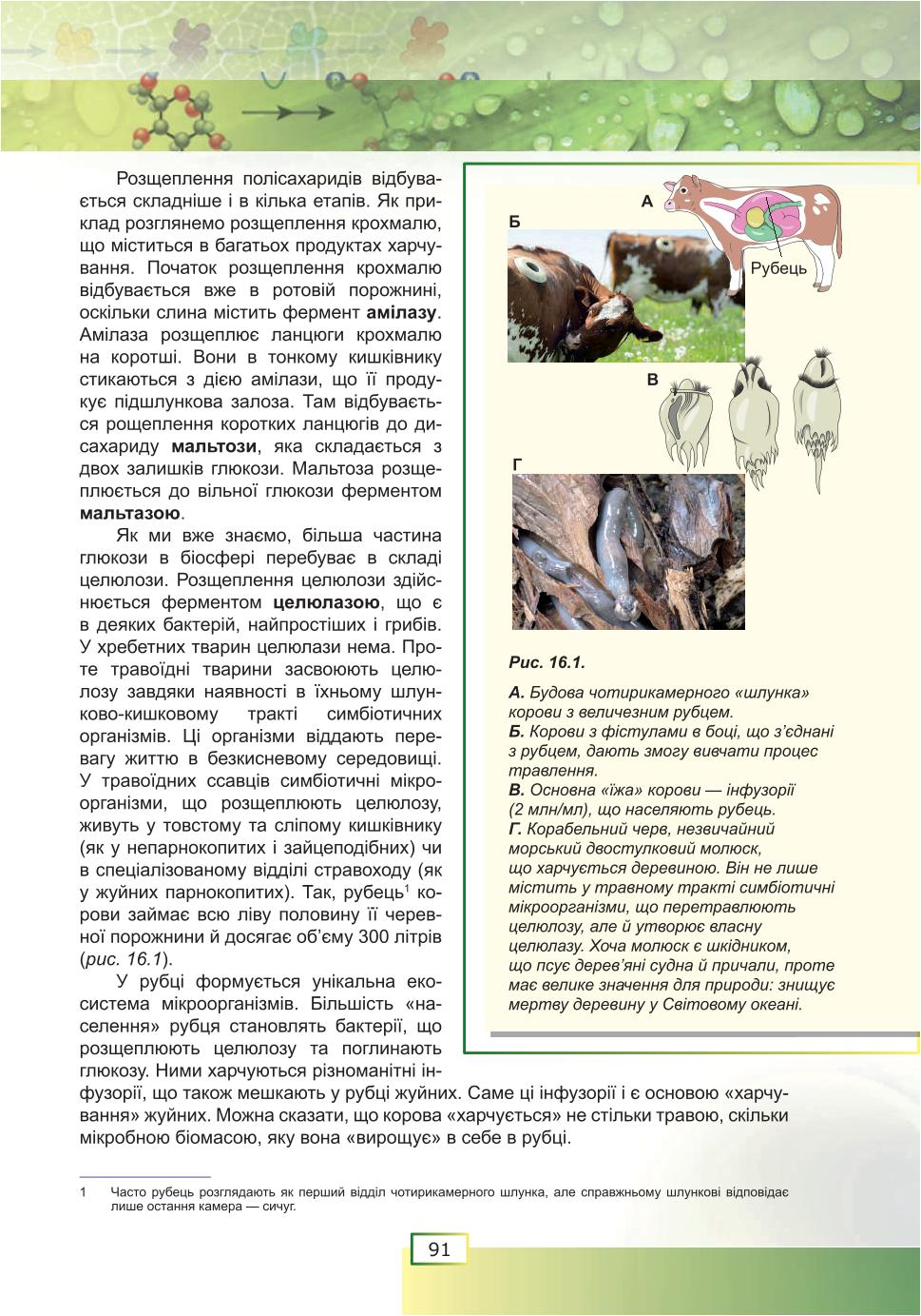 Мініатюра 91