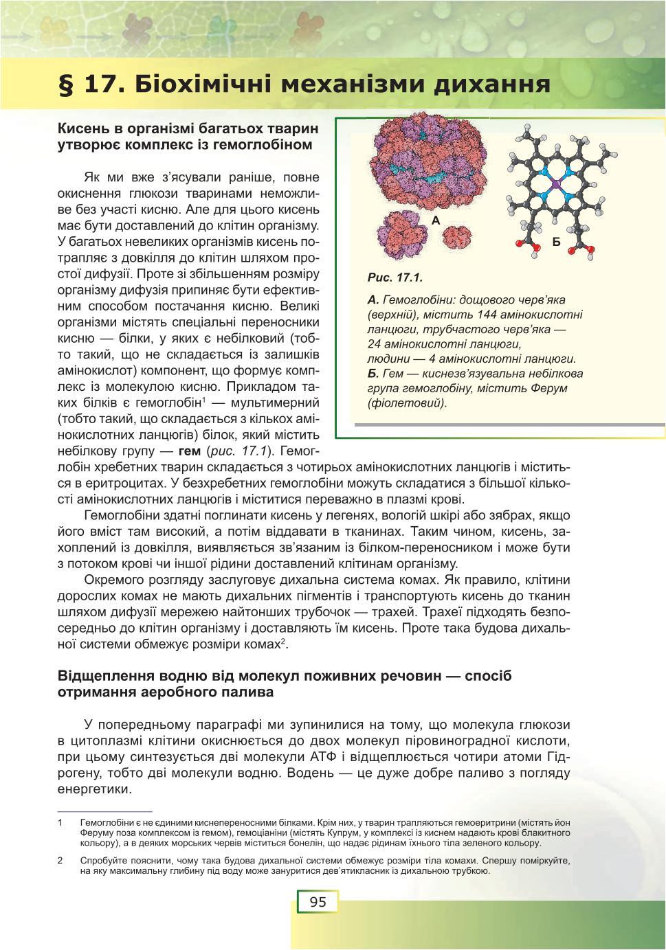 Мініатюра 95