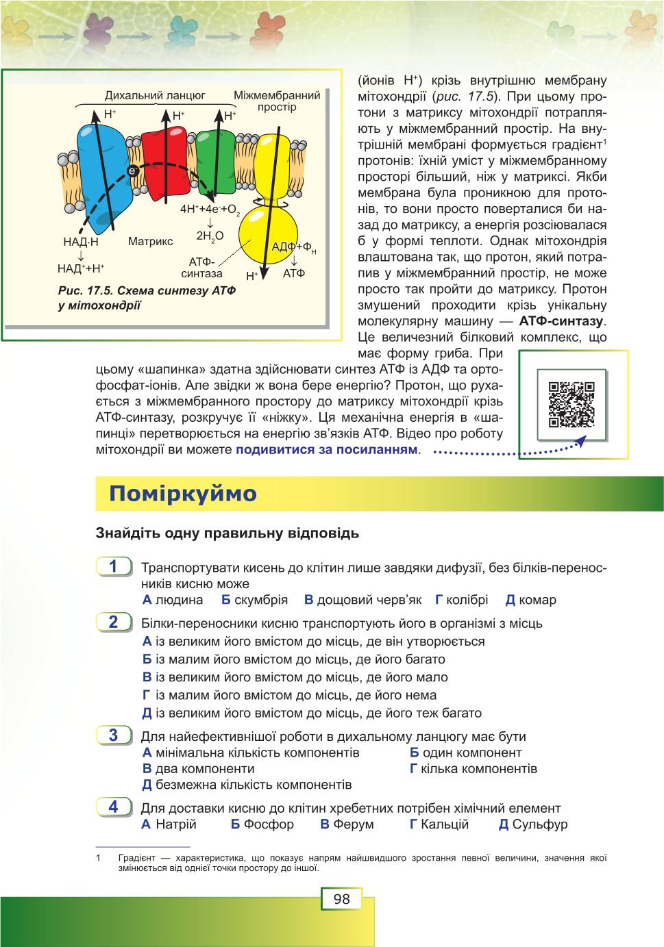 Мініатюра 98