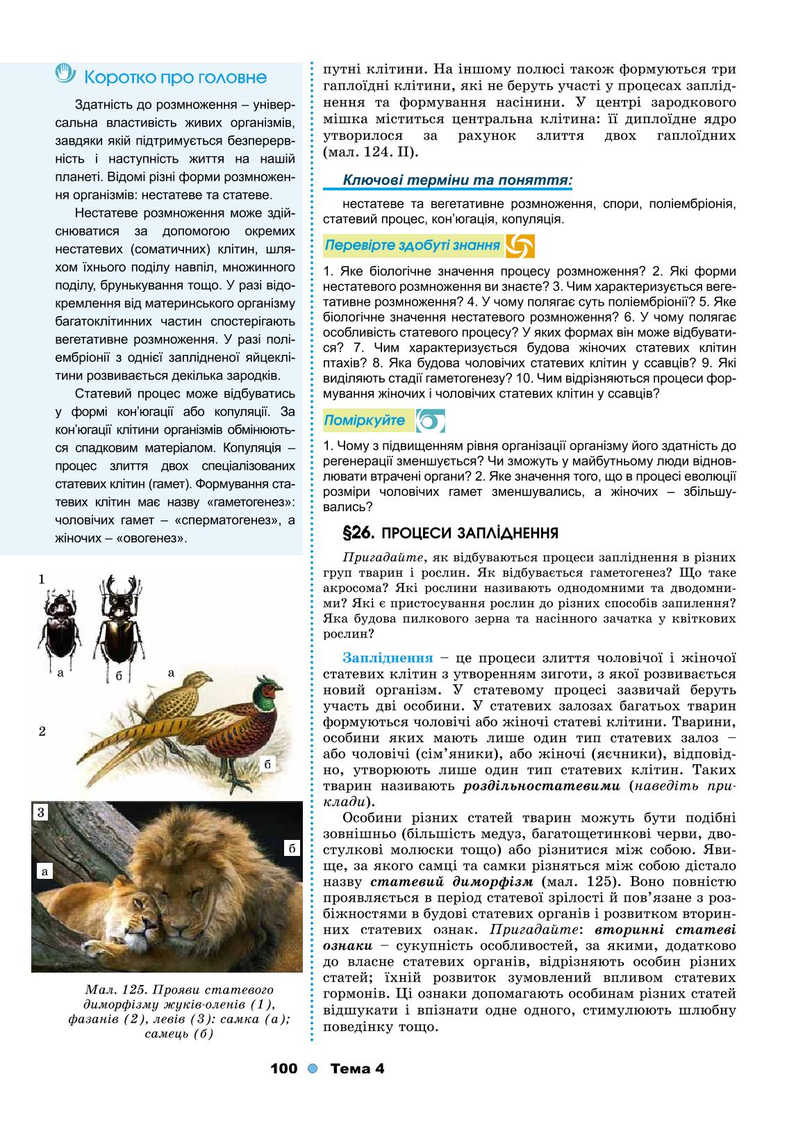 Мініатюра 100