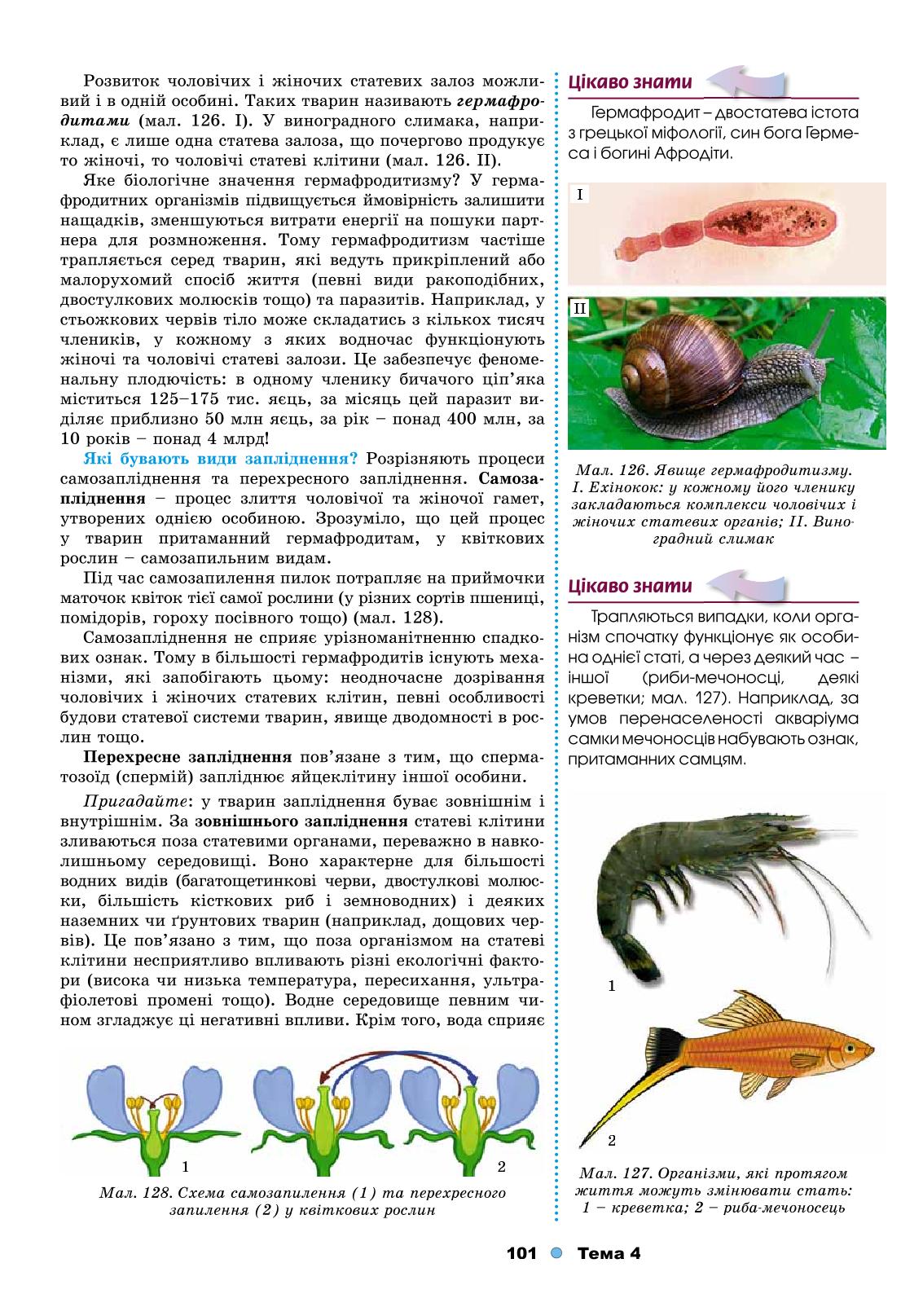 Мініатюра 101