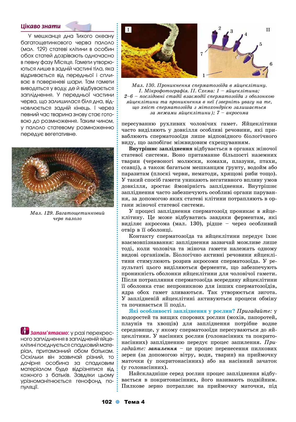 Мініатюра 102
