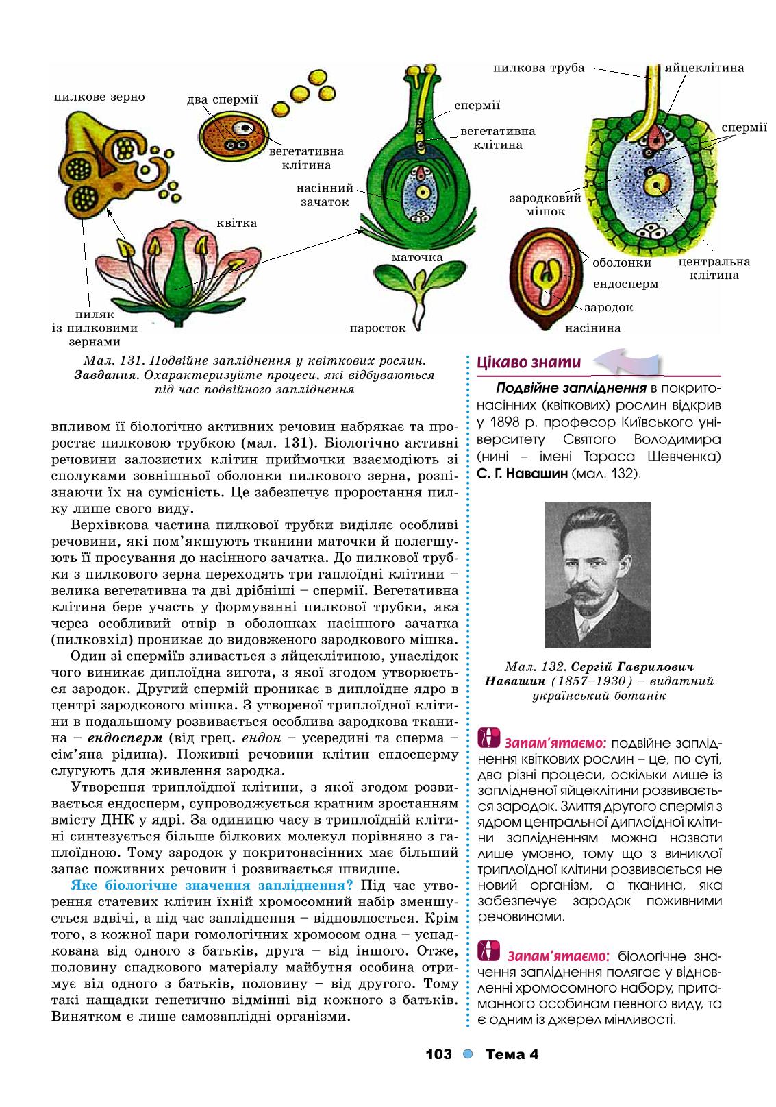Мініатюра 103