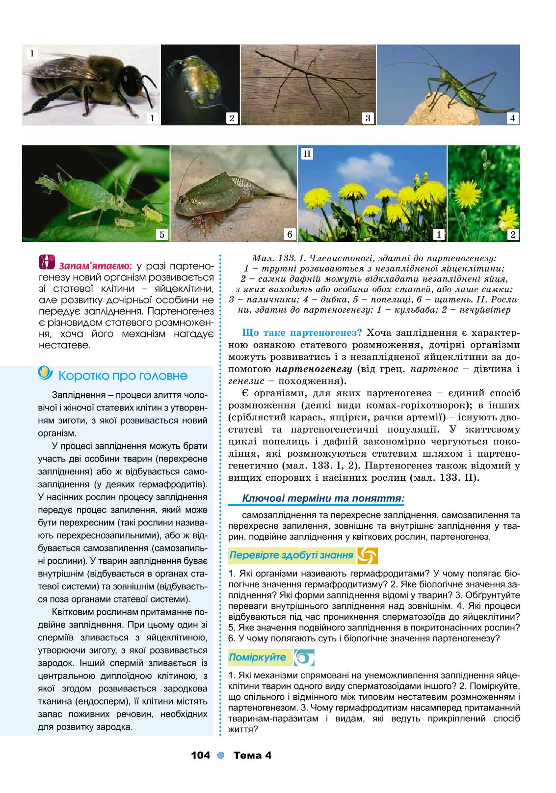 Мініатюра 104