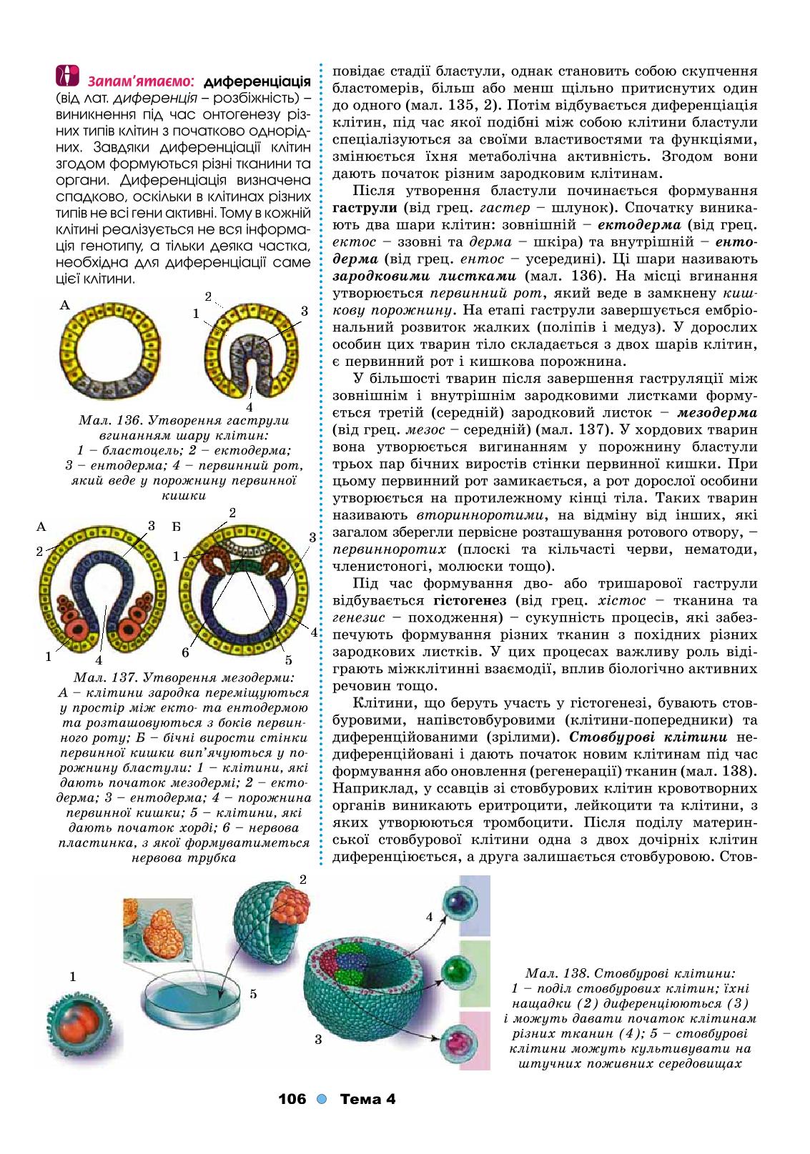 Мініатюра 106