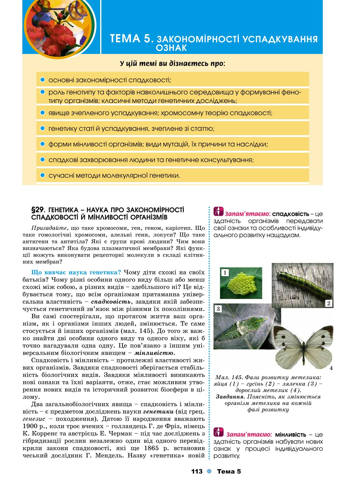 Мініатюра 113