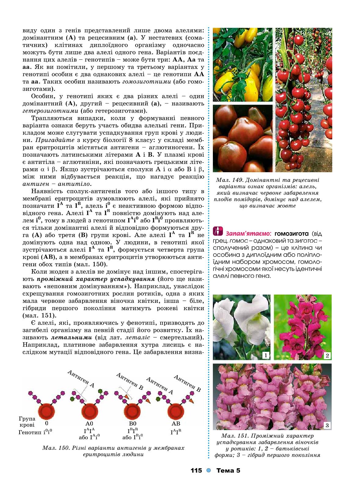 Мініатюра 115