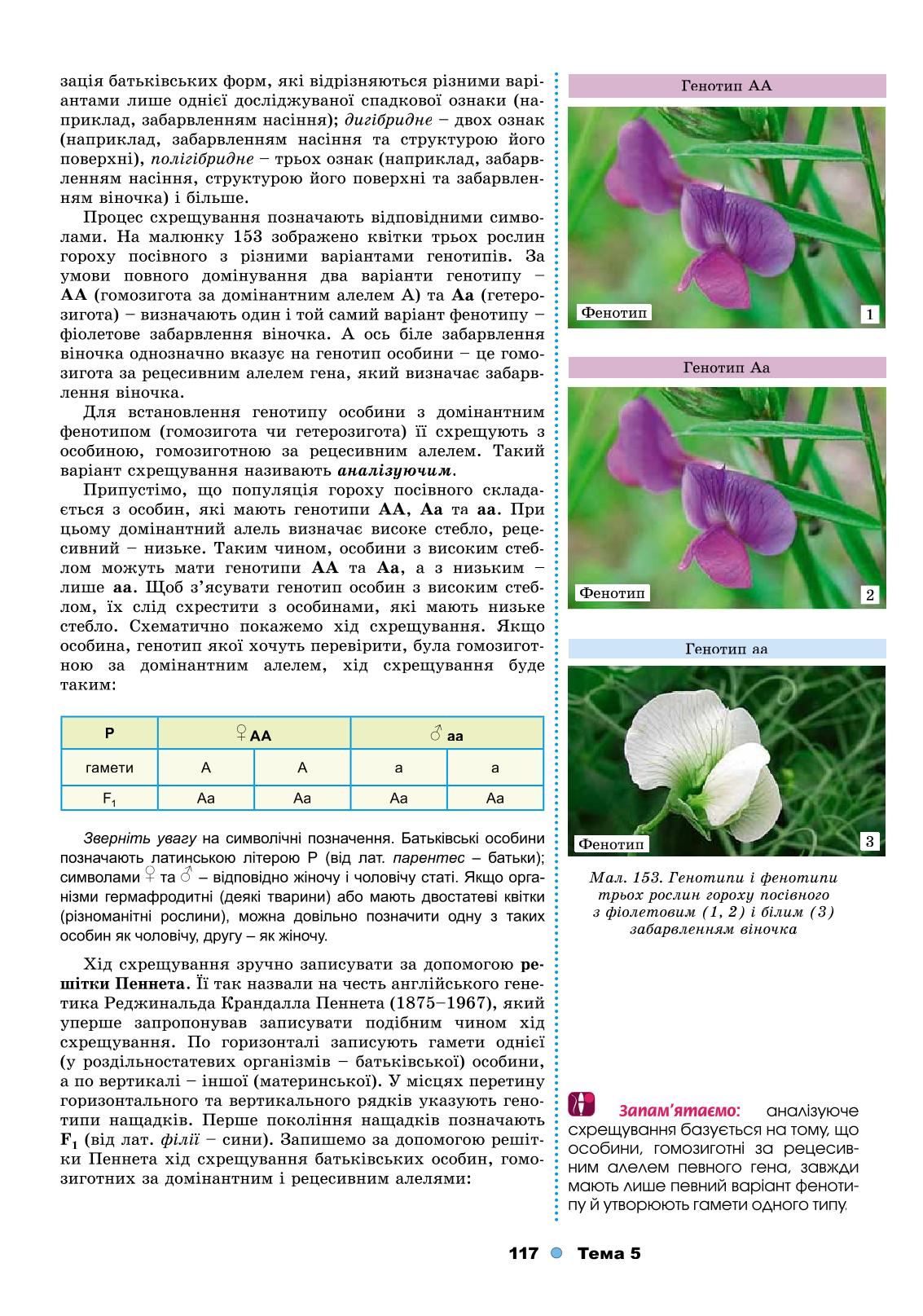 Мініатюра 117