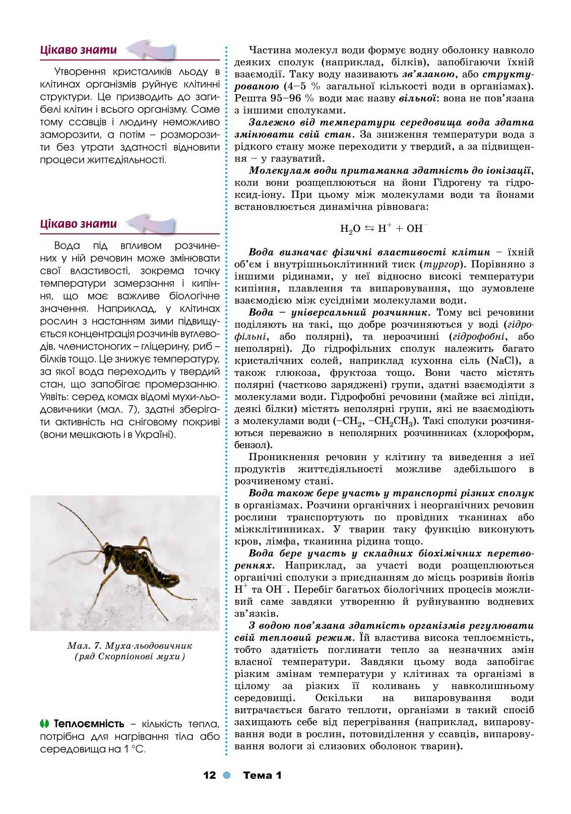 Мініатюра 12