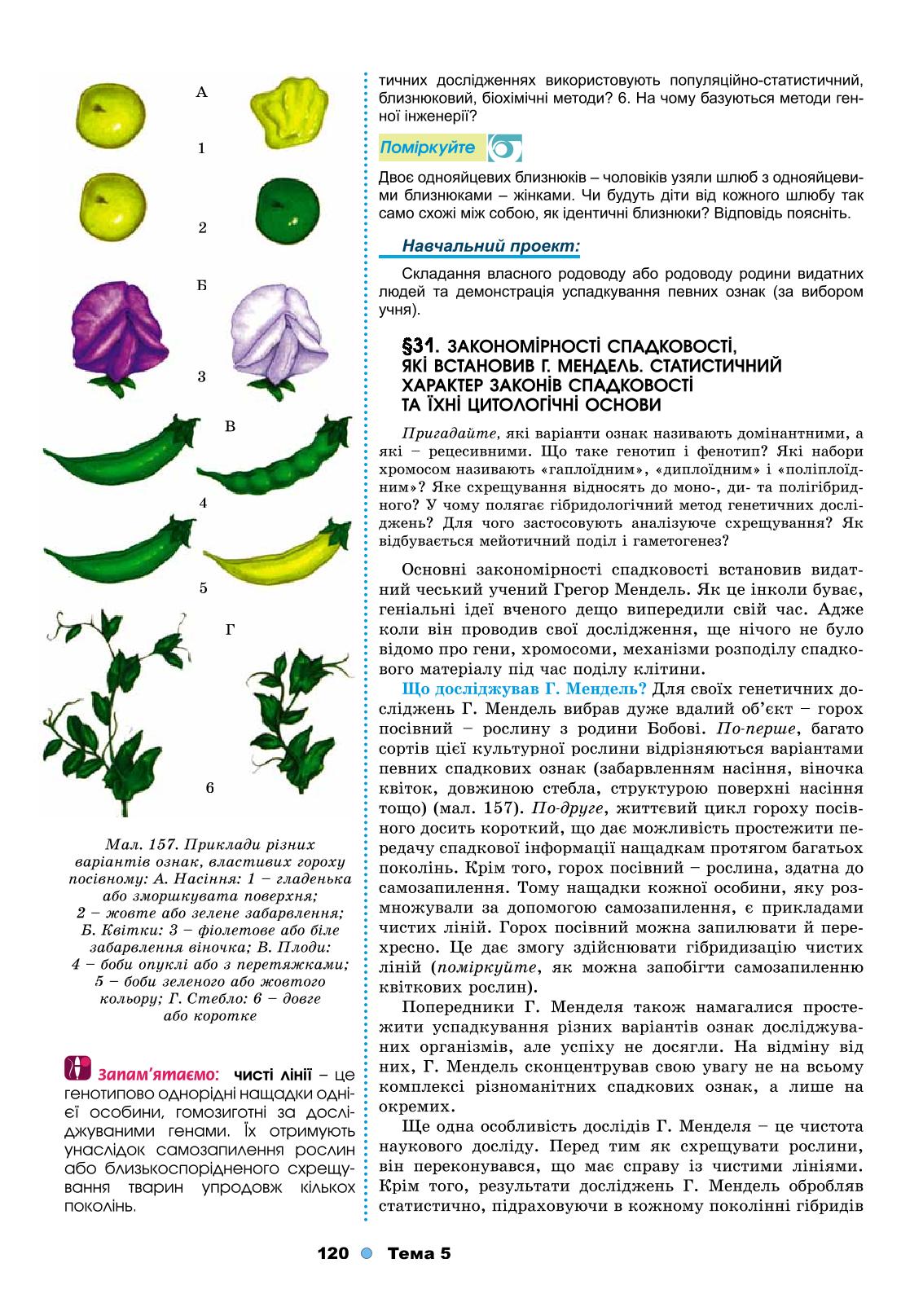 Мініатюра 120