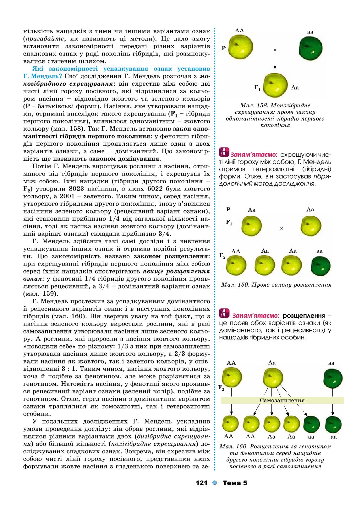 Мініатюра 121