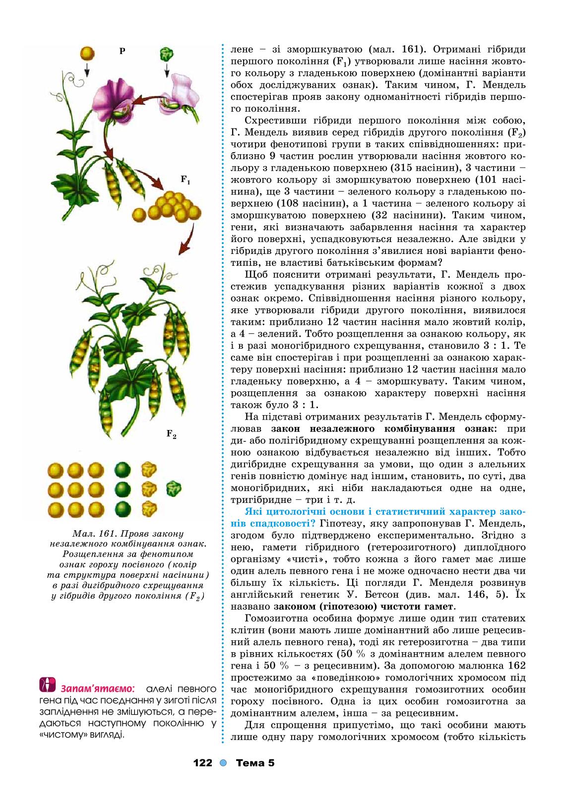 Мініатюра 122