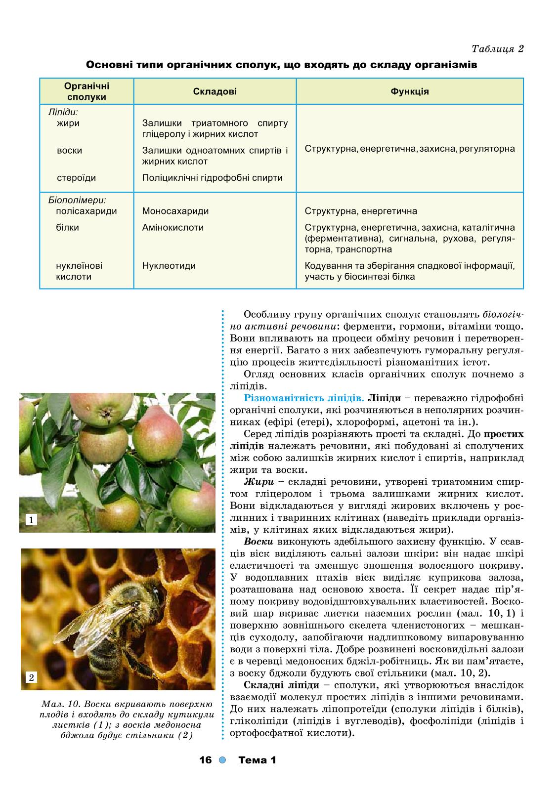 Мініатюра 16