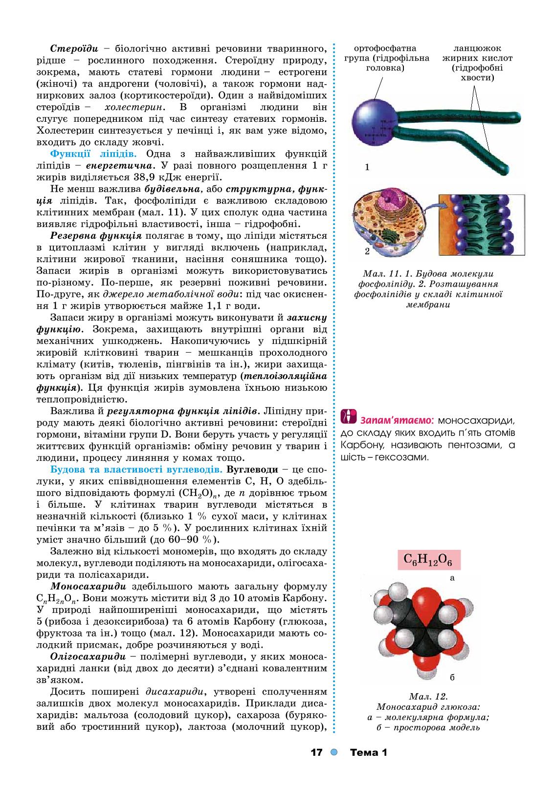 Мініатюра 17