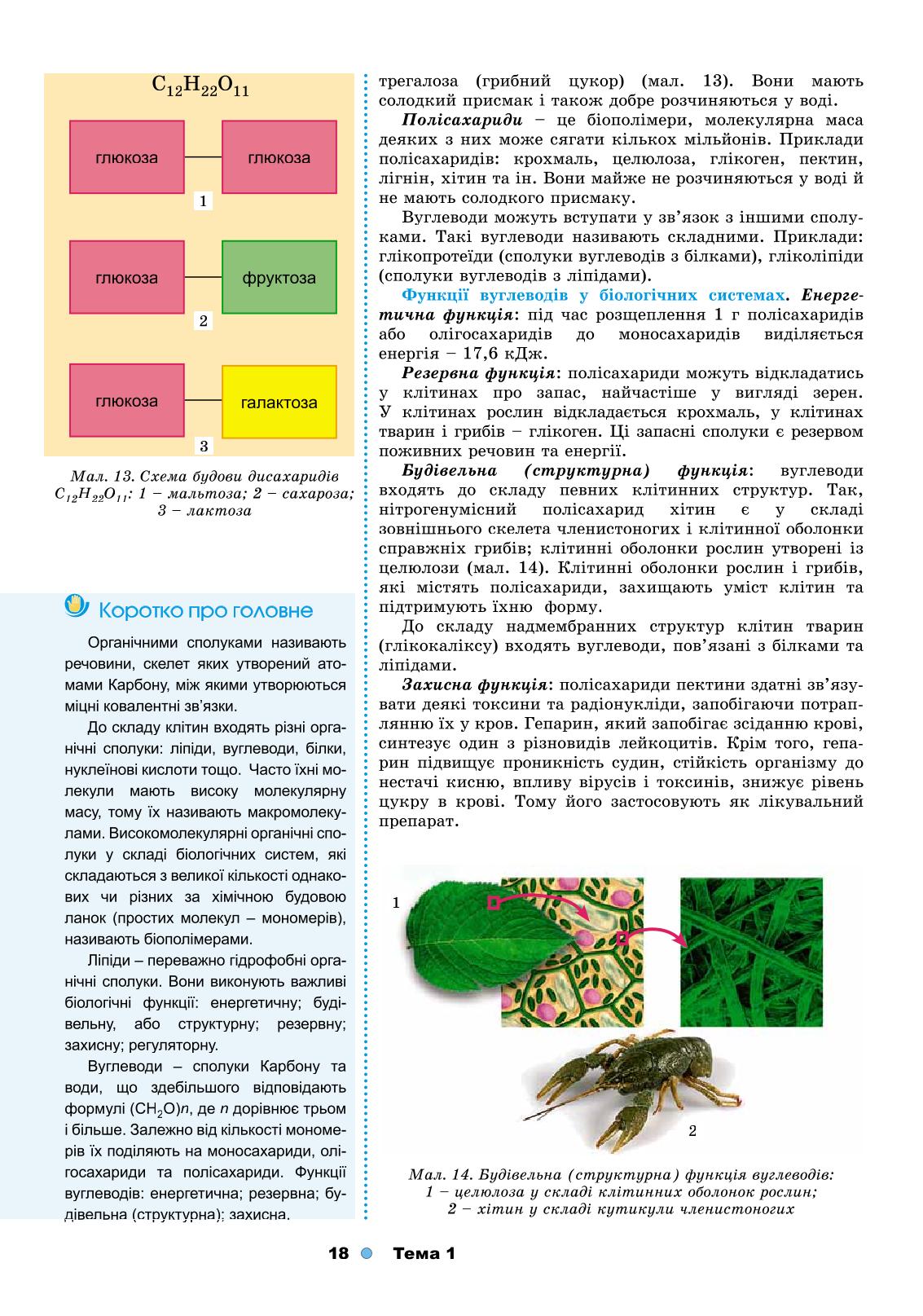 Мініатюра 18