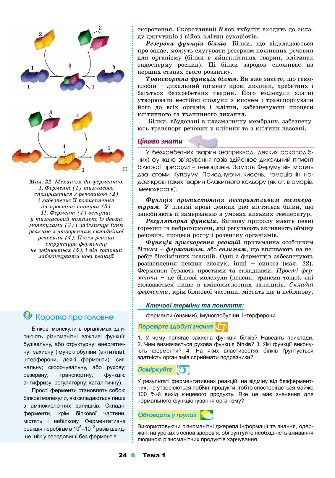 Мініатюра 24