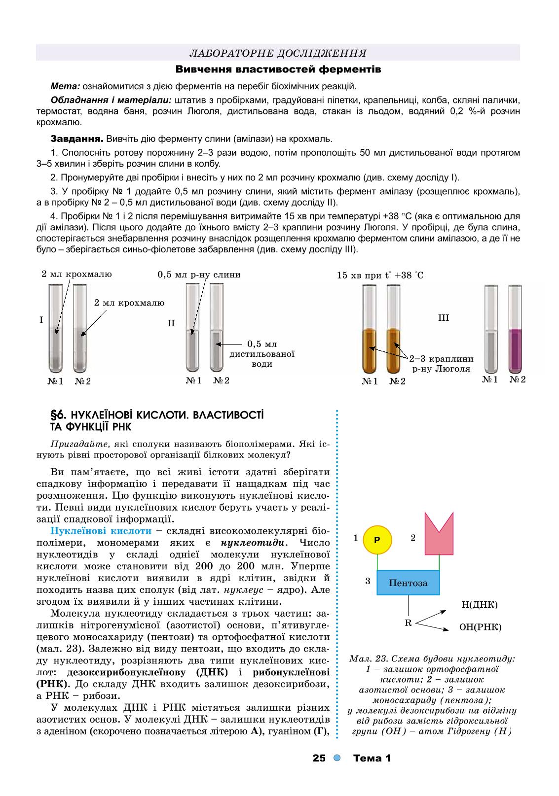 Мініатюра 25