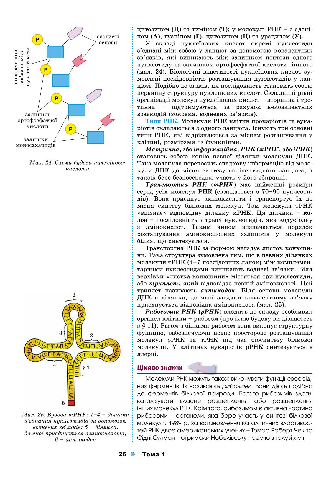 Мініатюра 26