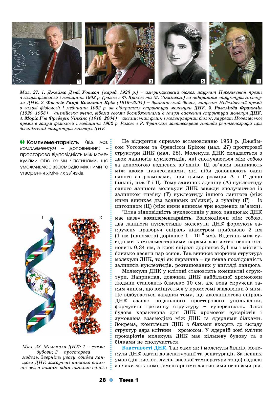 Мініатюра 28