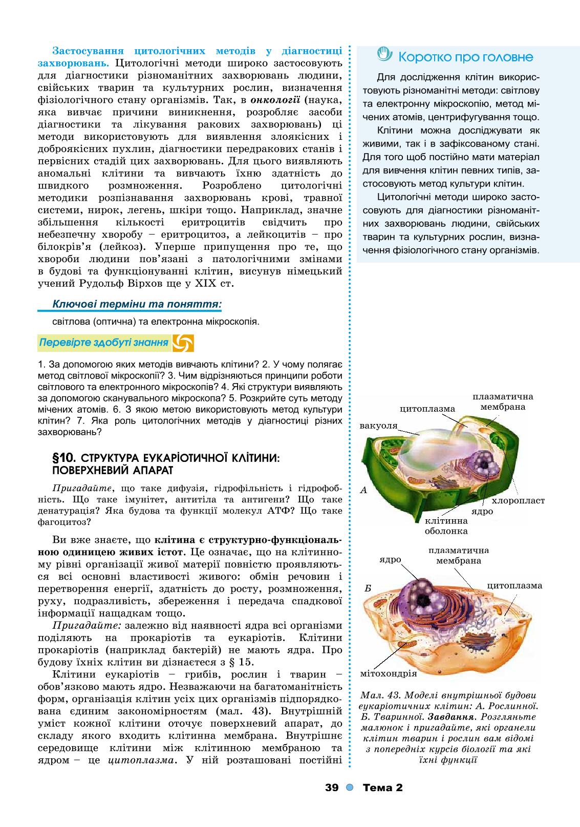 Мініатюра 39