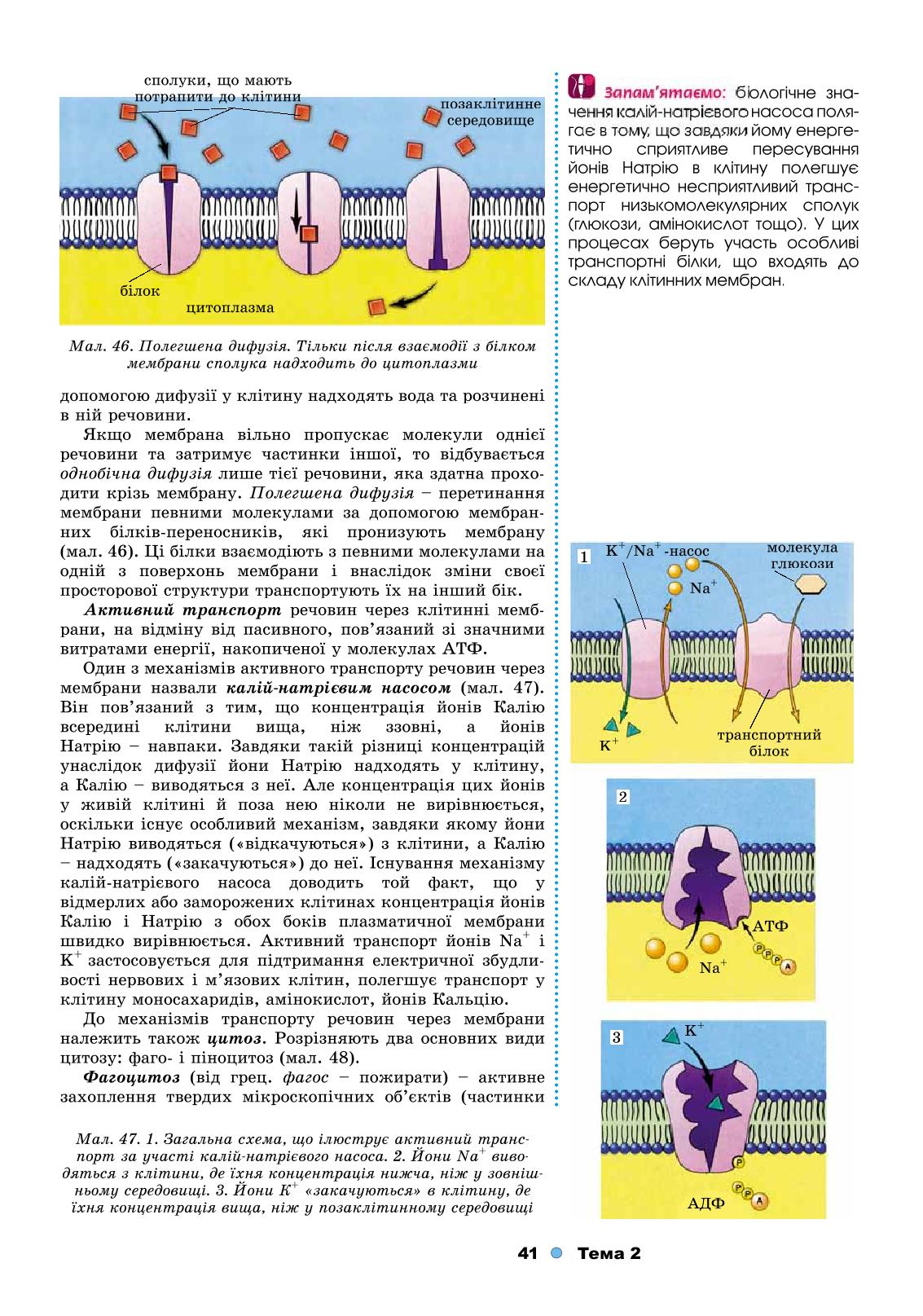 Мініатюра 41