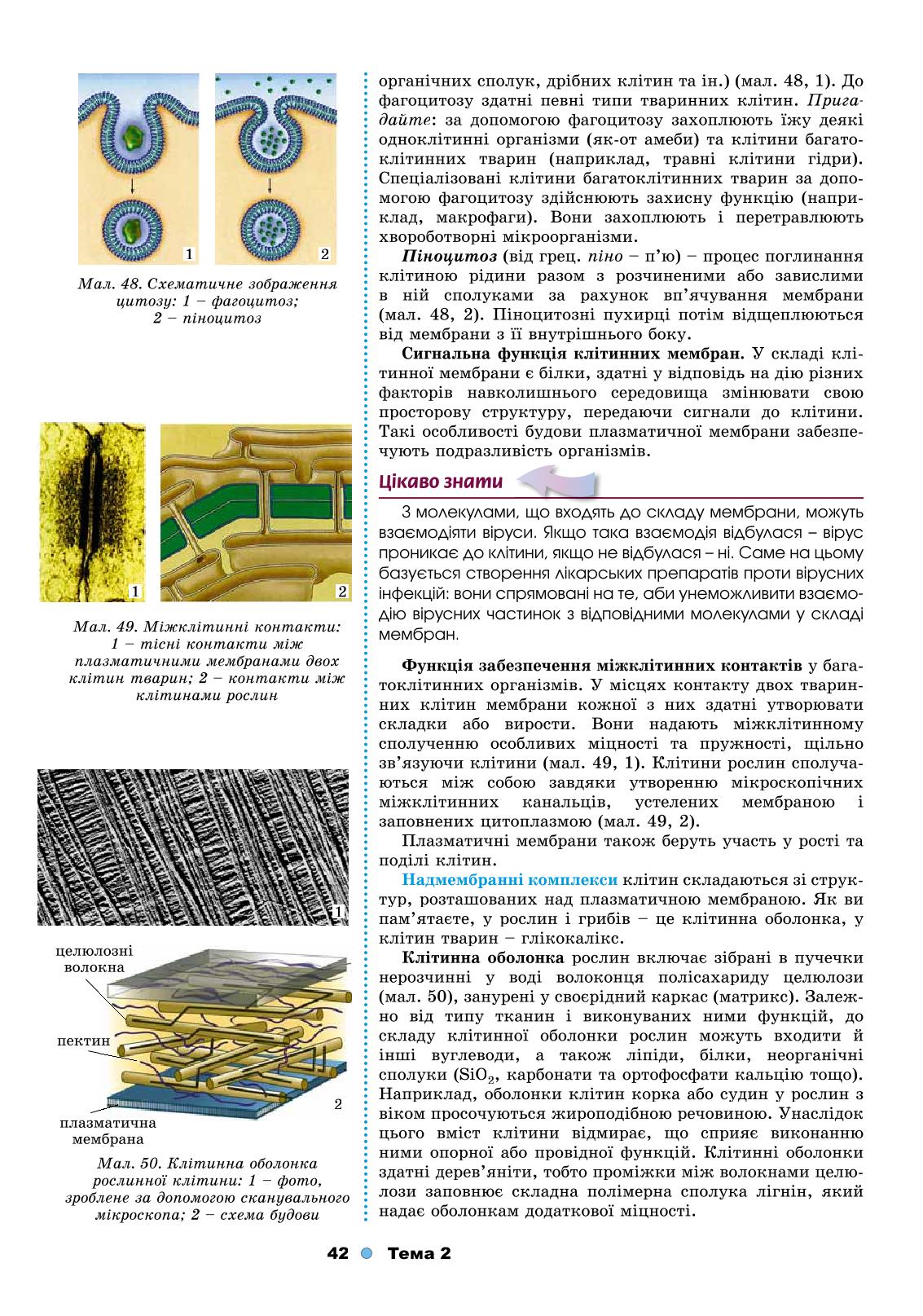 Мініатюра 42