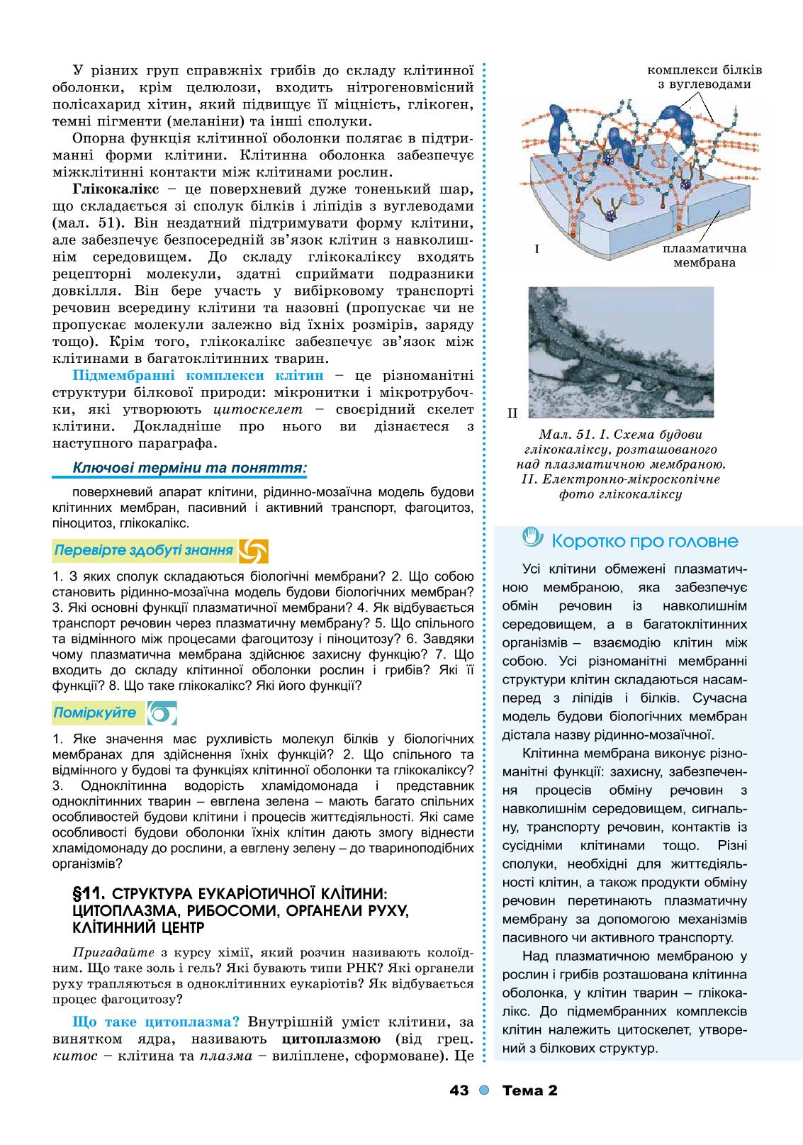 Мініатюра 43