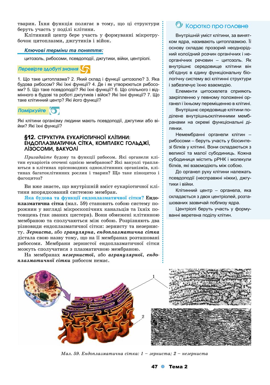 Мініатюра 47